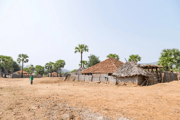 Bihar Near Misses