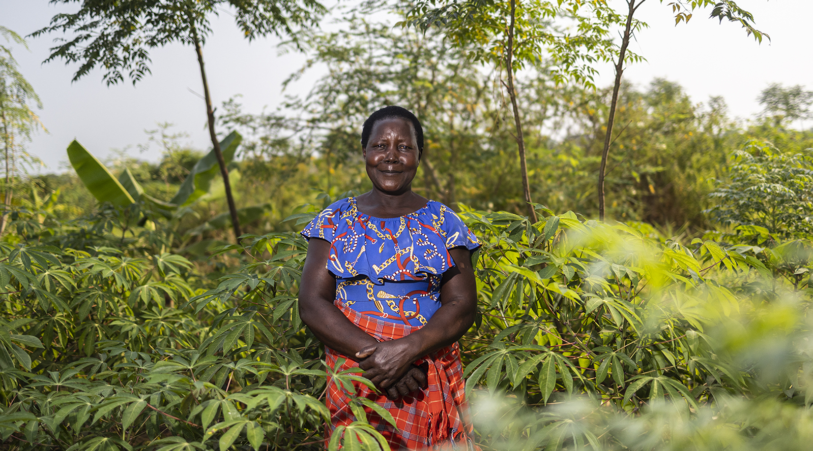 The 'Cut-Off Date' Trap: Economic Stagnation for Displaced Farmers